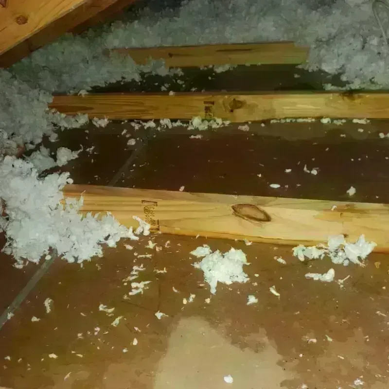 Attic Water Damage in Cameron County, PA